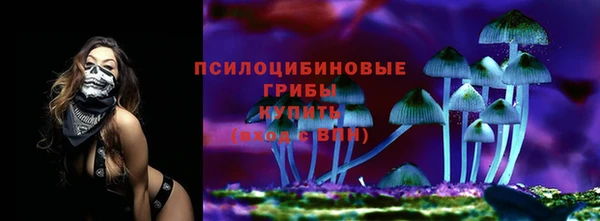 метадон Армянск
