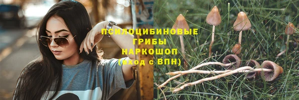 метадон Армянск