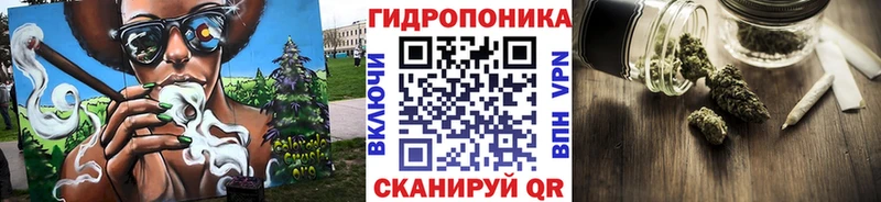 Шишки марихуана марихуана  Артёмовский 